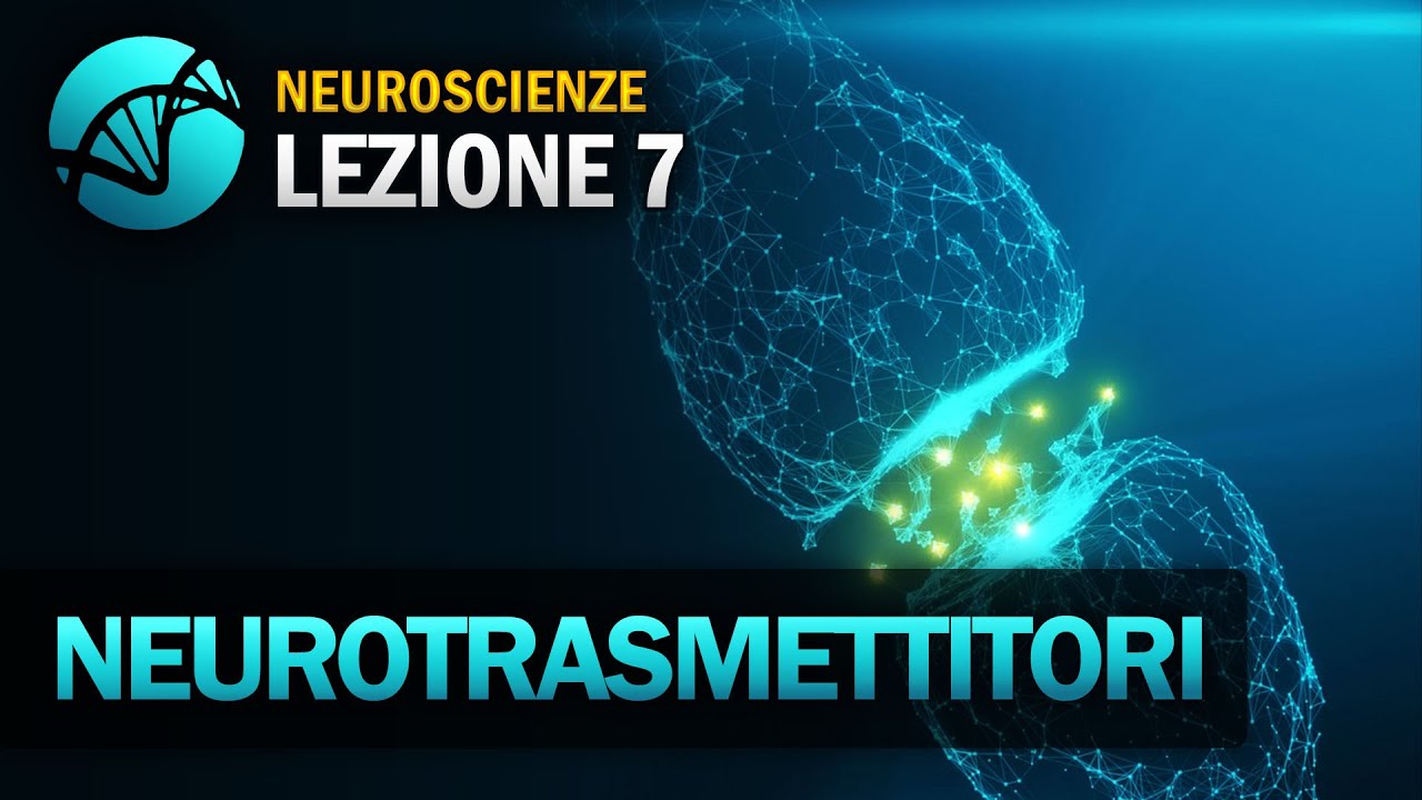 Neurotrasmettitori | NEUROSCIENZE - Lezione 7