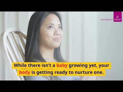 2 Weeks Pregnant: Symptoms, Baby Size, Foods to eat and Tips | Lifecell