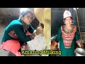 Beautiful Girl Drinking Cow Milk From Udder Before Milking Milking Video