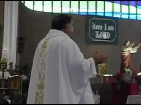 2012 06 24 Fr  Carmel's Homily
