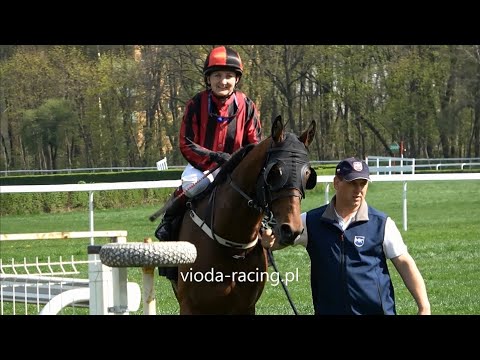 Gon. I (N. Dandolo - Handikap Otwarcia) - 22.04.2023 - Domindar (Duke of Zamindar - Doyenka)