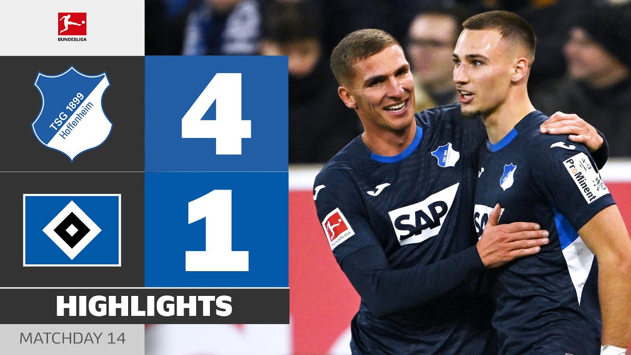 TSG Hoffenheim vs Hamburger SV Highlights