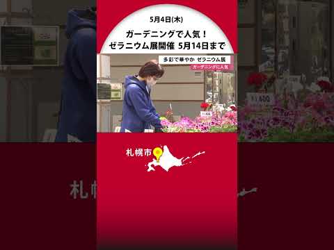 園芸 多年生森林ゼラニウム