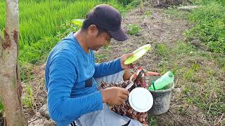 Download lagu Sarapan di Sawah mp3