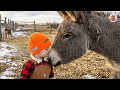 Nobody Wanted This Lonely Donkey… Then He Chose a 3-Year-Old Boy as His Best Friend