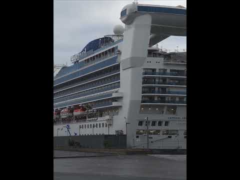 Thumbnail for Melbourne Cup in style! #cruiseship #cruise #melbournecup