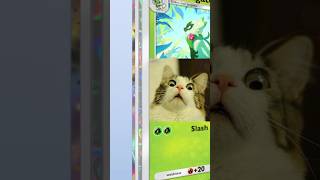 Finally The Chase - Opening 10 Pokemon Pocket Packs - Deluxe Pack EX 14