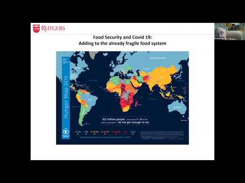 Food Security and COVID-19 Video Screenshot