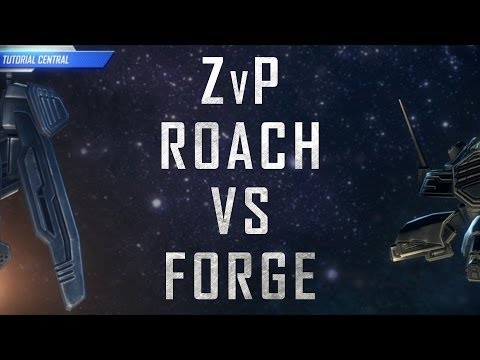 Starcraft 2: Safe Zerg Build - ZvP 3 Base Roach vs FFE