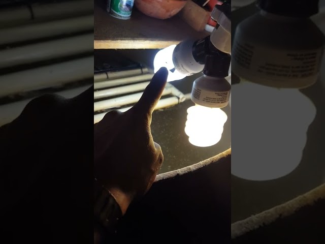 Vídeo relacionado con REPTI HOME UVB Luz 10.0, 26W UVA Bombilla para Reptiles, Lámpara para Terrario de Tortuga, Dragón Barbudo, Lagarto, Serpiente, Gecko