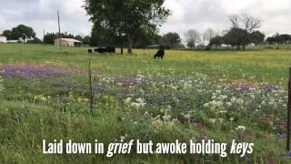 Death In His Grave - Audrey Assad - Lyrics
