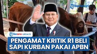 Pengamat Kritik Prabowo seusai Beli Sapi Kurban Ratusan Miliar Pakai APBN: Idealnya Anggaran Pribadi