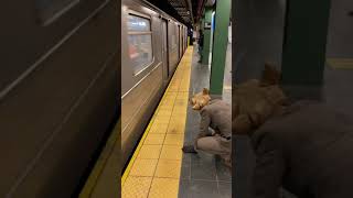 Subway rat