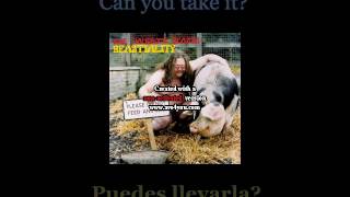 The Handsome Beasts - Breaker - Lyrics / Subtitulos en español (Nwobhm) Traducida