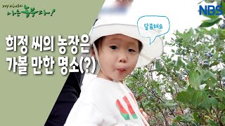 [강철맨 희정 씨의 블루베리 베리 굿] 달콤한 수확을 하느라 바쁜 블루베리 체험장