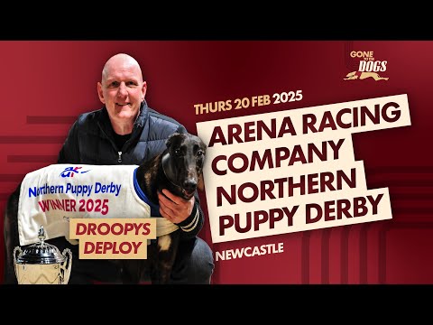 ARC Northern Puppy Derby Final 2025 Droopys Deploy