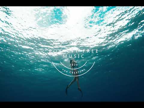 TFLM Nadro & Anikdote - Take My Hand [Royalty Free Music]