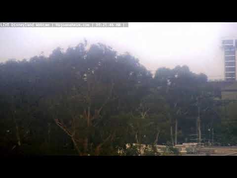 Live webcam of Disneyland Cam