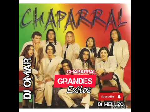 grupo chaparral exitos enganchados - dj Omar
