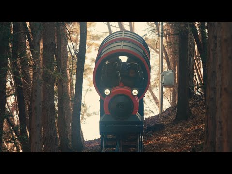 온 가족이 함께 즐기는 숲속 나들이, 숲소리공원 모노레일