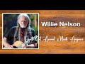 Don't Get Around Much Anymore - Willie Nelson