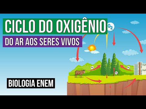 CICLO DO OXIGÊNIO: do ar aos seres vivos | Biologia para o Enem | Cláudia de Souza Aguiar