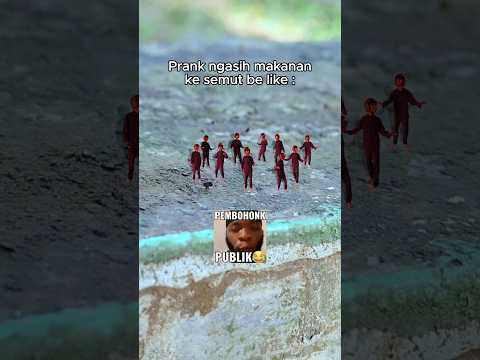 Prank gak jadi ngasih makanan ke semut 😹 #meme #capcut #edit