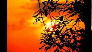 Shocking Blue – I&#39;ll Follow The Sun