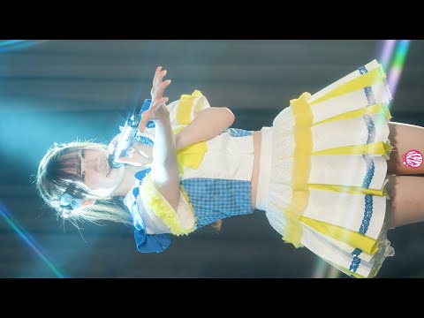 動画のタイトルなど