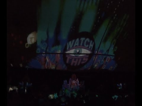 Psysex @ Puzzle Effect & Hippie Tipi 2019