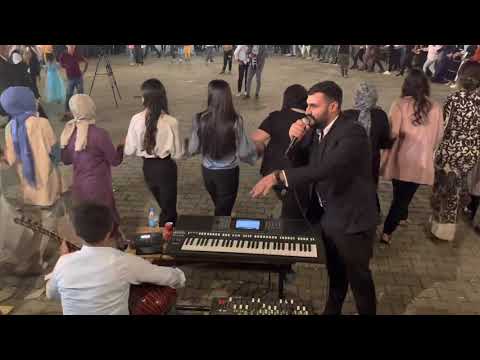 TEKİN BOZKURD (KARLIOVA DÜĞÜN)