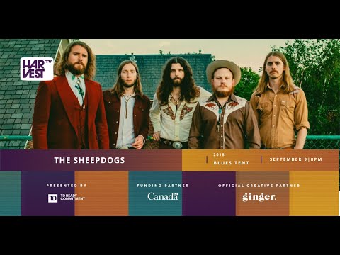 The Sheepdogs - Live 2018: Virtual Harvest presented by TD Ready Commitment