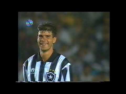 BOTAFOGO 2X1 SANTOS 1ª FINAL BRASILEIRO 95 GLOBO