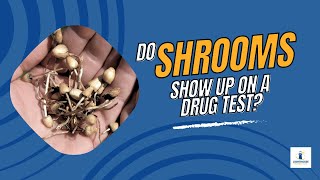 Do Shrooms Show Up on a Drug Test