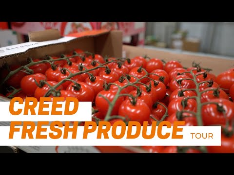 Creed in Focus | Creed Fresh Produce | Tour