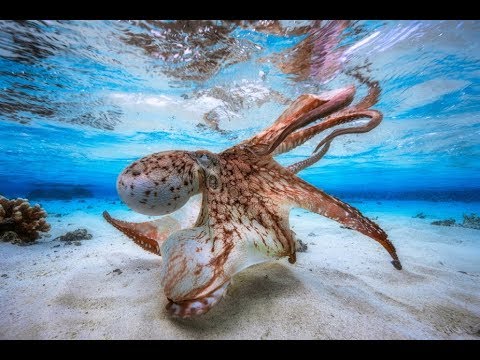 Beste Fotos von den Besten im Jahr 2017