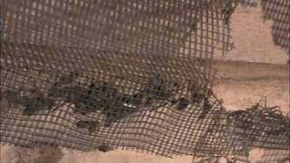 What&#39;s that attic noise part 1