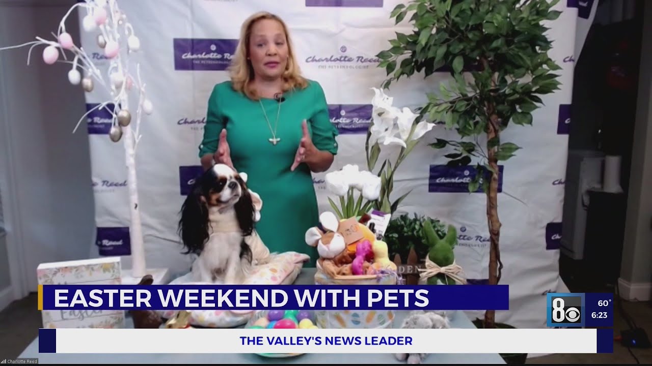 Tips to keep your pets safe while celebrating Easter