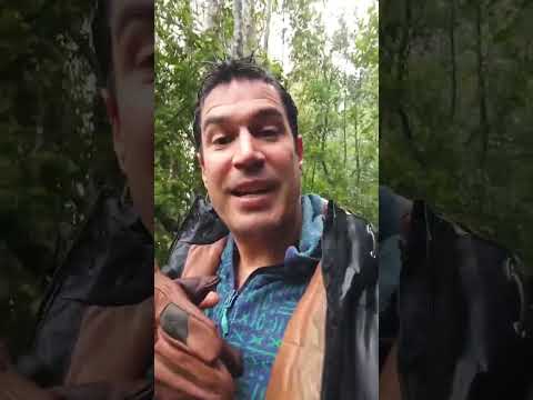 Quiero hacer una oferta pública y sincera: le ofrezco a la Municipalidad de Pucón una asesoría