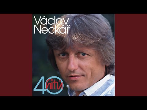 Nejsem gladiátor (Put Your Money Down Boy)