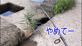 鬼怒橋ブラックバス　2024年10月21日