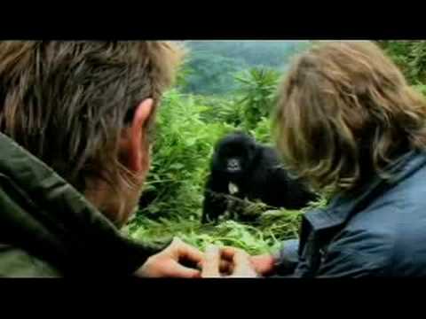 Long way down - Ewan McGregor