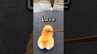 Download lagu When Dogs Fall in LOVE 🤣 | Wholesome Animals mp3