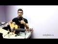 Bon Jovi - It's My Life - Guitar Lesson (Разбор на ...