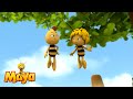 A Dream Maya The Bee