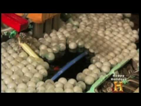 Rainbo Marvels--Vinyl Record Pressing