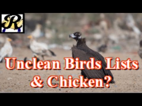Distinguishing Clean vs. Unclean Birds.  What about Chicken?