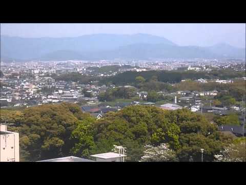 園芸 公園と庭園