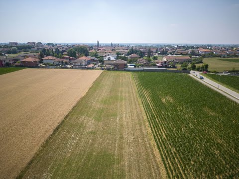 IPI Torino | Vendita Terreno edificabile a Villanova d'Asti (AT)