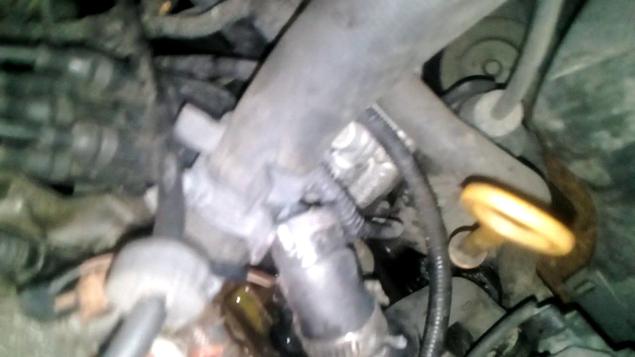 Watch Fuga en toma de agua de Pointer 01 Now Fuga en toma de agua de Pointer 01